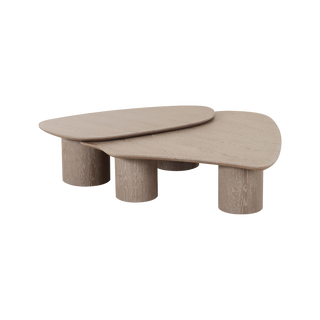 Vesta 2 Piece Washed Ash Nesting Coffee Table Set