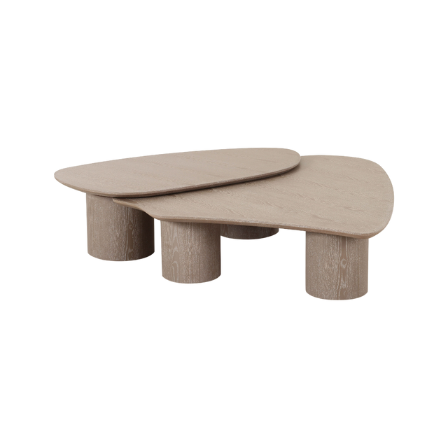 Vesta 2 Piece Washed Ash Nesting Coffee Table Set