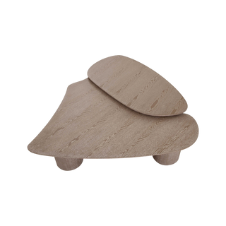 Vesta 2 Piece Washed Ash Nesting Coffee Table Set