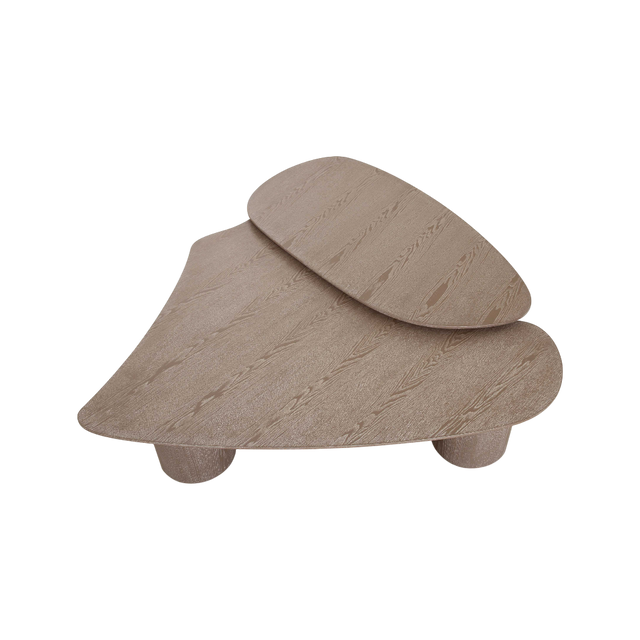 Vesta 2 Piece Washed Ash Nesting Coffee Table Set