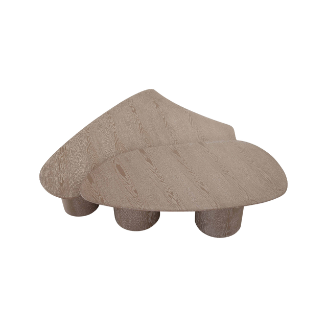 Vesta 2 Piece Washed Ash Nesting Coffee Table Set