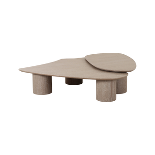 Vesta 2 Piece Washed Ash Nesting Coffee Table Set