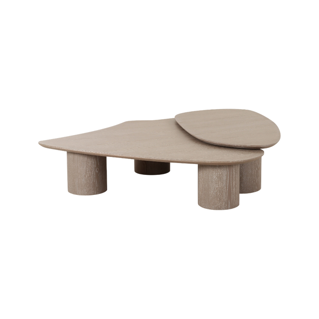 Vesta 2 Piece Washed Ash Nesting Coffee Table Set